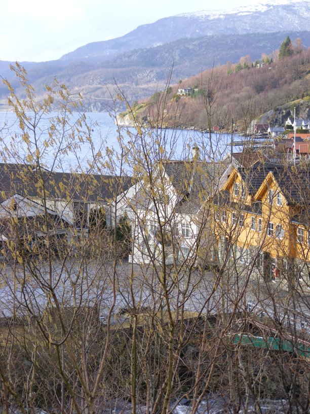 utsikt fra hjelmeland kyrkje